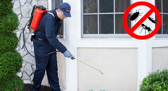 Göztepe Kemirgen İlaçlama böcek ilaçlama ve haşere kontrolü — ilaclama-tr.com